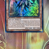 LVAL-EN018 Sylvan Flowerknight 1st Edition Super Very Good to Near Mint Yugioh