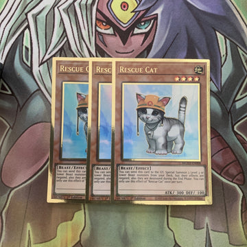 MGED-EN006 x3 Rescue Cat Gold Rare Excellent Condition Yugioh