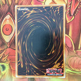 DR1-EN233 Infernalqueen Archfiend Common Yugioh