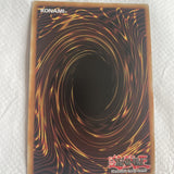 NKRT-EN036 Ignoble Knight of High Laundsallyn Platinum Rare Mint YuGiOh Card