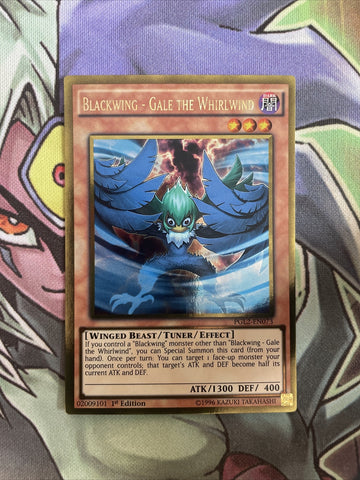 PGL2-EN073 Blackwing - Gale The Whirlwind Gold Rare 1st Edition NM Yugioh Card