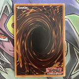 PGL2-EN073 Blackwing - Gale The Whirlwind Gold Rare 1st Edition NM Yugioh Card