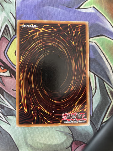 LCJW-EN056 Alligator's Sword Dragon Common 1st Edition NM Yugioh Card (back)