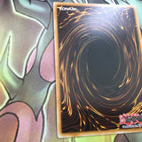 EXVC-EN099 Blue Rose Dragon 1st Edition Secret Rare Yugioh Card
