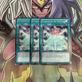 REDU-EN060 x3 Spellbook of Wisdom Rare Excellent Condition Yugioh