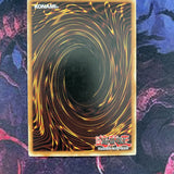 TLM-EN059 Royal Surrender 1st Edition Rare Excellent Yugioh