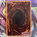 PGL3-EN052 Ghost Ogre & Snow Rabbit Gold Rare 1st Edition NM Yugioh Card