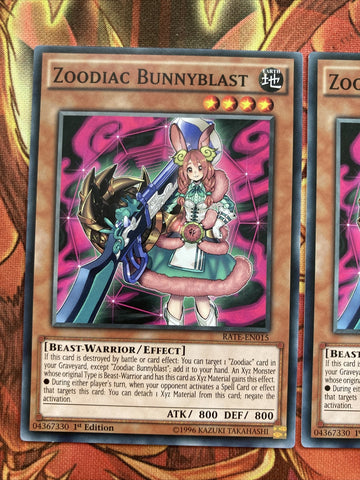 RATE-EN015 Zoodiac Bunnyblast 1st Edition Common (MINT CONDITION) Yugioh (back)