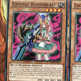 RATE-EN015 Zoodiac Bunnyblast 1st Edition Common (MINT CONDITION) Yugioh