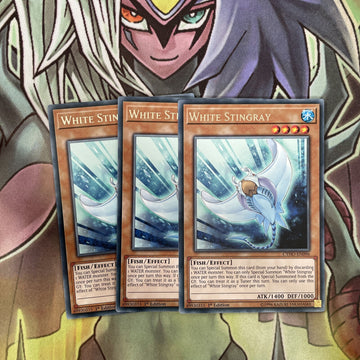 CYHO-EN096 x3 White Stingray Rare Excellent Condition Yugioh