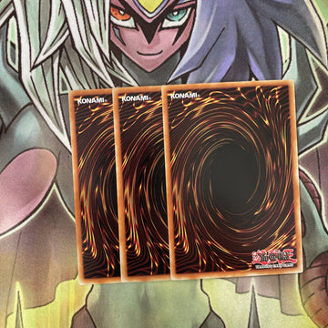 CYHO-EN096 x3 White Stingray Rare Excellent Condition Yugioh (back)