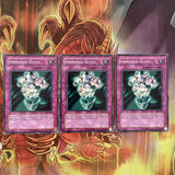 PSV-019 x3 Armored Glass - Common - unl Edition Yugioh