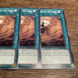 MP20-EN130 x3 Flawless Perfection Of The Tenyi NM/LP Common 1st Edition Yugioh