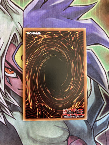 MP19-EN239 Dhampir Vampire Sheridan Common 1st Edition NM Yugioh Card (back)