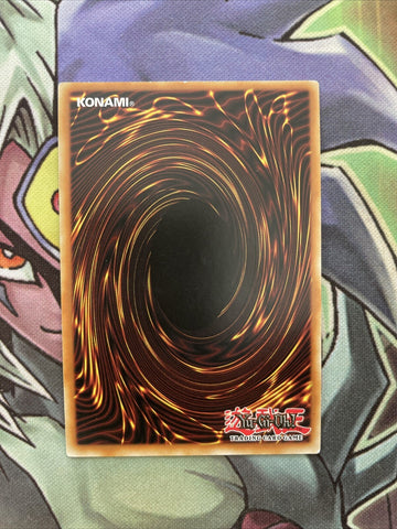 PGL2-EN069 Traptrix Trap Hole Nightmare Gold Rare 1st Edition NM Yugioh (back)
