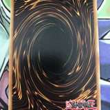 SD6-EN013 White Magician Pikeru - Common Unlimited New Spellcaster Yugioh