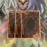 LED6-EN031 x3 Doppelwarrior Common Excellent Condition Yugioh