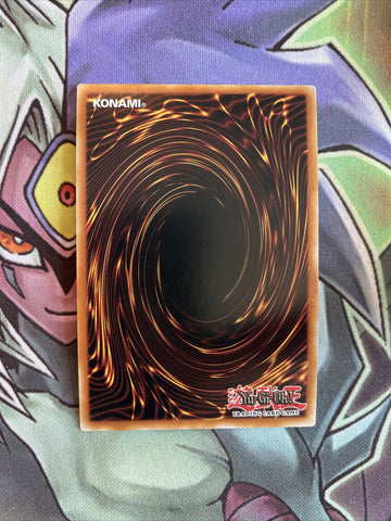 BLHR-EN080 Shaddoll Falco Ultra Rare 1st Edition NM Yugioh Card (back)