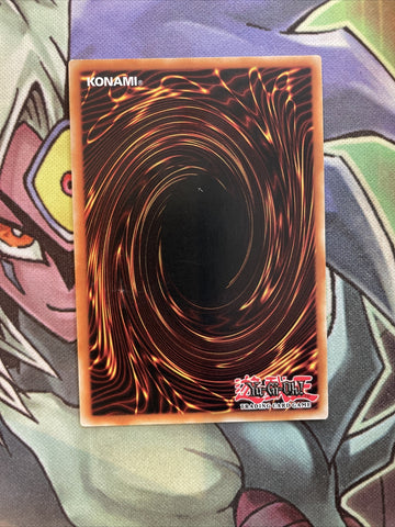 MP19-EN253 Rafale, Champion Fur Hire Common Unlimited Edition NM Yugioh Card (back)