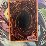 MP19-EN253 Rafale, Champion Fur Hire Common Unlimited Edition NM Yugioh Card