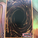 SHVI-EN044 Amorphactor Pain, the Imagination Dracoverlord Super Rare Yugioh