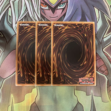 LVAL-EN036 x3 Kalantosa, Mystical Beast of the Forest Common Excellent Yugioh (back)