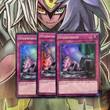 AP05-EN012 x3 Overworked Super Rare Excellent Condition Yugioh