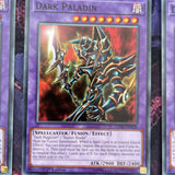 LEDD-ENA34 x3 Dark Paladin 1st Edition Mint YuGiOh Card