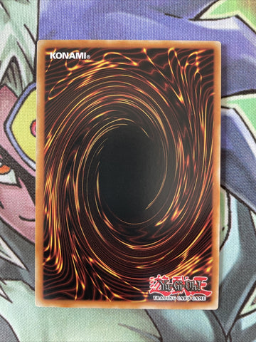 GLD4-EN014 White-Horned Dragon Common Limited Edition Yugioh Card Near Mint (back)