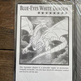 BLUE-EYES WHITE DRAGON, DARK MAGICIAN GIRL | 6 OVERSIZED GIANT Yugioh