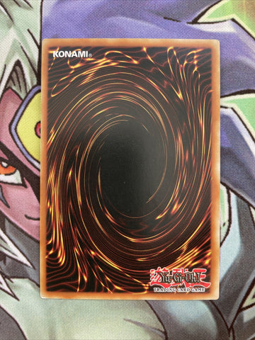 MP16-EN113 D/D Berfomet Rare 1st Edition Near Mint Condition Yugioh Card (back)