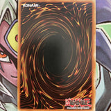 MP16-EN113 D/D Berfomet Rare 1st Edition Near Mint Condition Yugioh Card