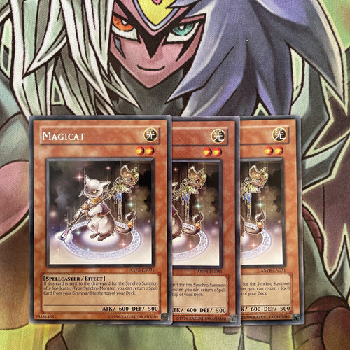ANPR-EN031 x3 Magicat Rare Excellent Condition Yugioh