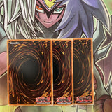 ANPR-EN031 x3 Magicat Rare Excellent Condition Yugioh