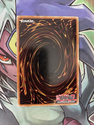 DR2-EN195 King Of The Swamp Common Unlimited Edition NM Yugioh Card (back)