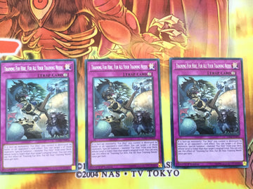 DASA-EN026 YUGIOH 3 X TRAINING FUR HIRE, FUR ALL YOUR TRAINING NEEDS - SECRET