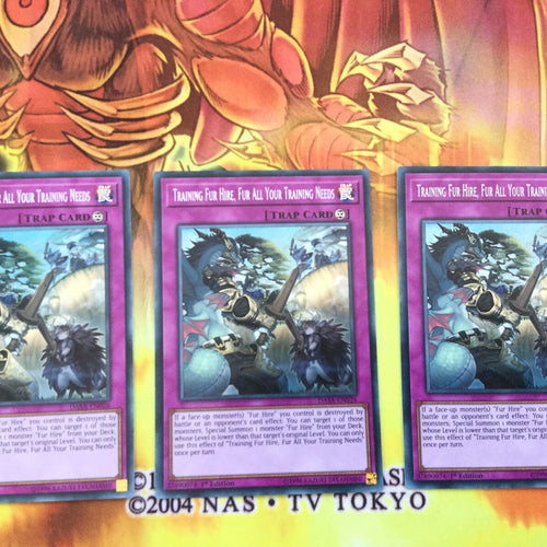 DASA-EN026 YUGIOH 3 X TRAINING FUR HIRE, FUR ALL YOUR TRAINING NEEDS - SECRET