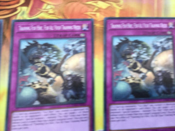 DASA-EN026 YUGIOH 3 X TRAINING FUR HIRE, FUR ALL YOUR TRAINING NEEDS - SECRET (back)