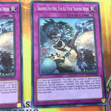 DASA-EN026 YUGIOH 3 X TRAINING FUR HIRE, FUR ALL YOUR TRAINING NEEDS - SECRET