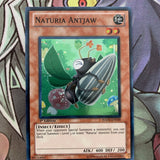 HA02-EN039 Naturia Antjaw Super Rare 1st Edition NM Yugioh Card