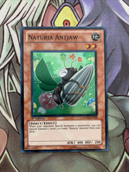Smirking Gnome
