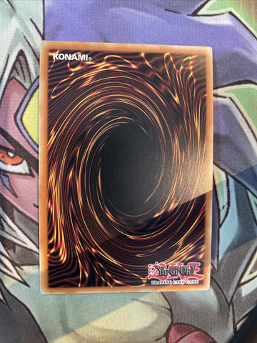 SDPD-EN001 D/D/D Chaos King Apocalypse Ultra Rare 1st Edition NM Yugioh Card (back)