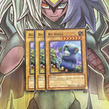 IOC-004 x3 Big Koala Common Excellent Condition Yugioh