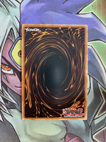 RIRA-EN046 Wynn The Wind Charmer, Verdant Rare 1st Edition NM Yugioh Card (back)