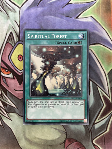 AP05-EN024 Spiritual Forest Common UNL Edition NM Yugioh Card