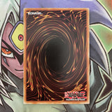 AP05-EN024 Spiritual Forest Common UNL Edition NM Yugioh Card