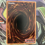 MP18-EN167 Amazoness Empress Common 1st Edition NM Yugioh Card