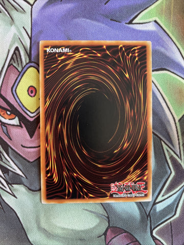 CYHO-EN036 Link Devotee Common 1st Edition NM Yugioh Card (back)