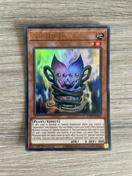 Smirking Gnome