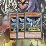 CYHO-EN009 x3 Crusadia Draco Common Excellent Condition Yugioh